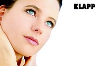Klapp Model